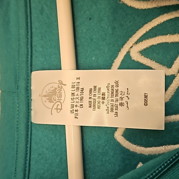 Disneyland NWT Teal Hoodie, X Large, Unisex - Picture 5 of 5